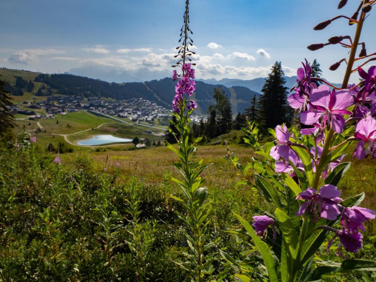 Les Saisies Appart 1 Chambre Au Pied Des Pistes Eksteriør bilde